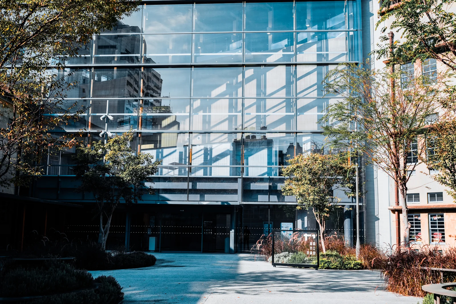現代玻璃建築與樹木，建築反光與自然對比