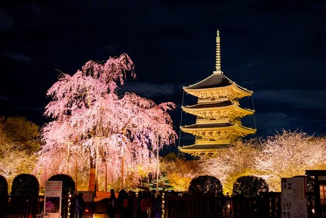 [走讀京都] - 平安時代初期，洛南的人理守護 - 東寺，城南宮