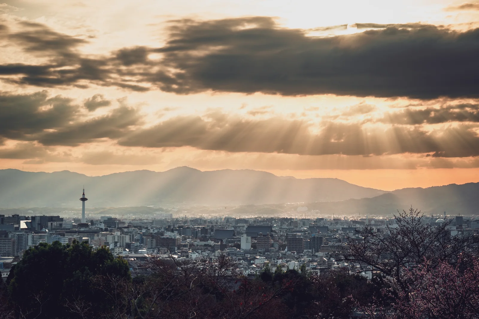 京都古建築與綠意竹林山景，夕照下古寺幽靜的庭院一隅