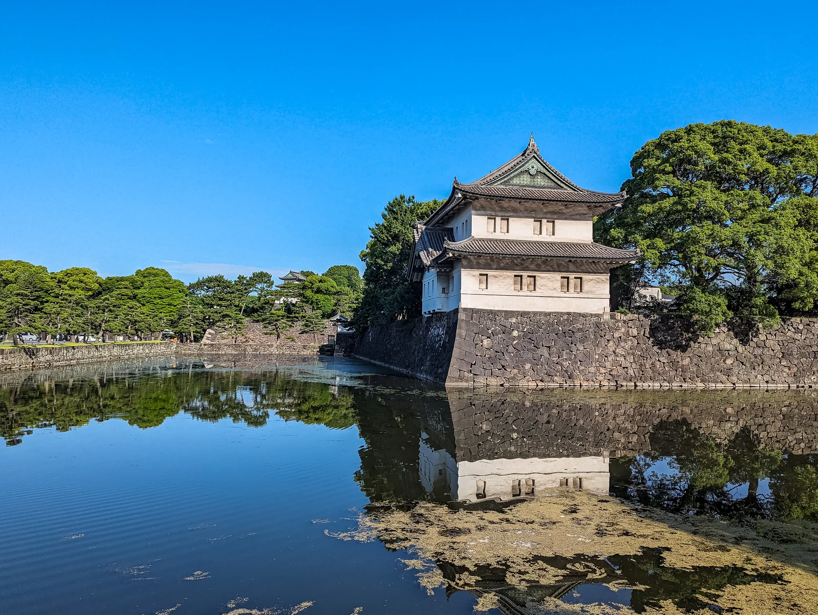 皇居護城河清晨景象，青綠樹木倒映水中，遠方城市高樓