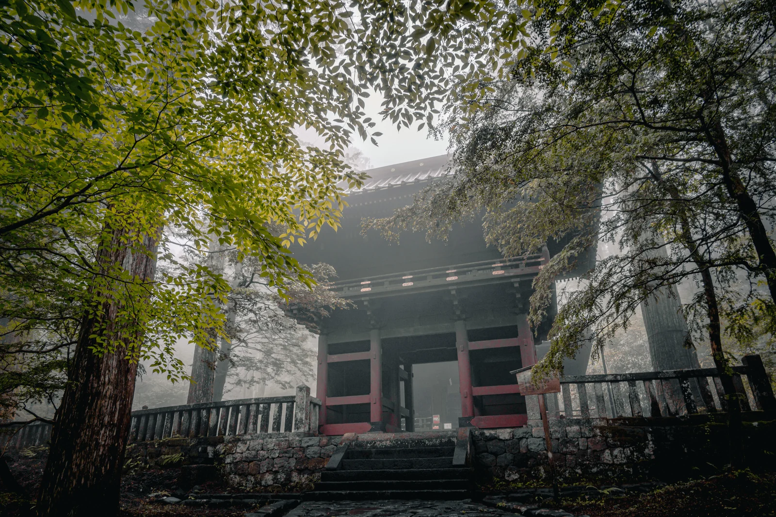 二荒山神社別社林間石階與古老石燈籠，苔蘚植生的靜謐參道