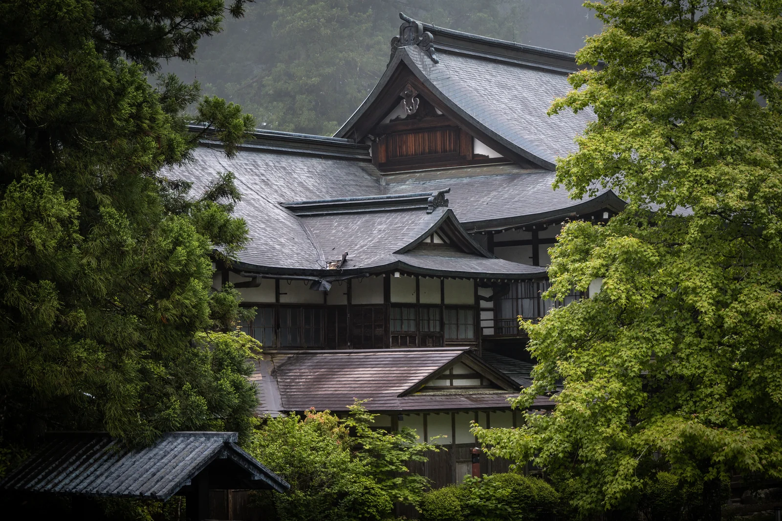 二荒山神社別社多層金色屋頂與古杉木