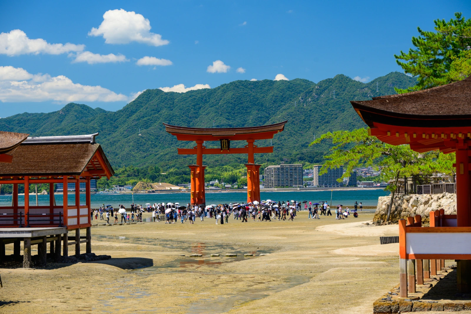 嚴島神社潮間帶社殿迴廊近景