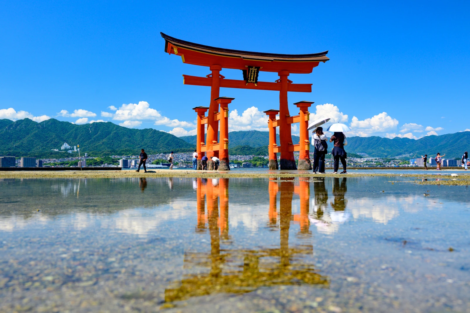 嚴島神社社殿與海上大鳥居的合影角度