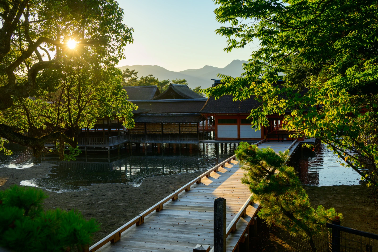 從大聖院眺望瀨戶內海的黃昏景色