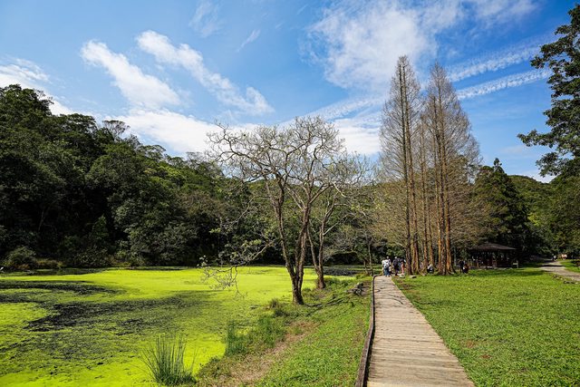 漫步微光的角落 – 福山植物園